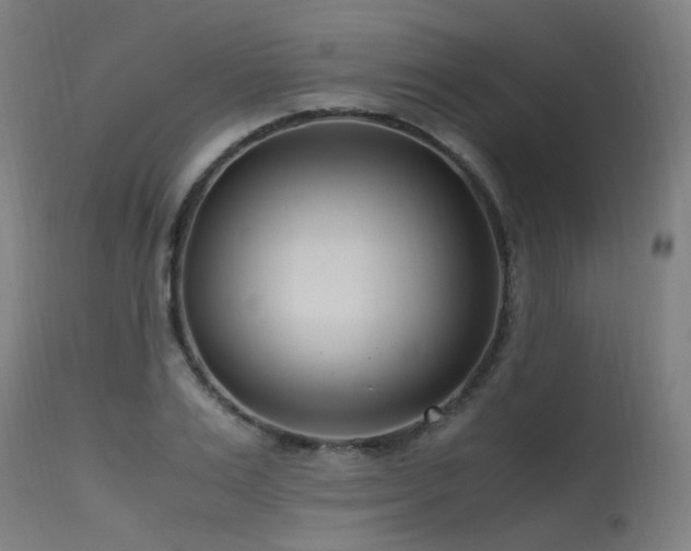 X0000115640983200911101512