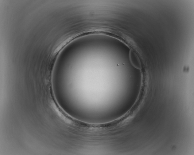 X0000115640985200911101512
