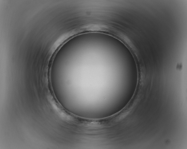 X0000115640986200911101512
