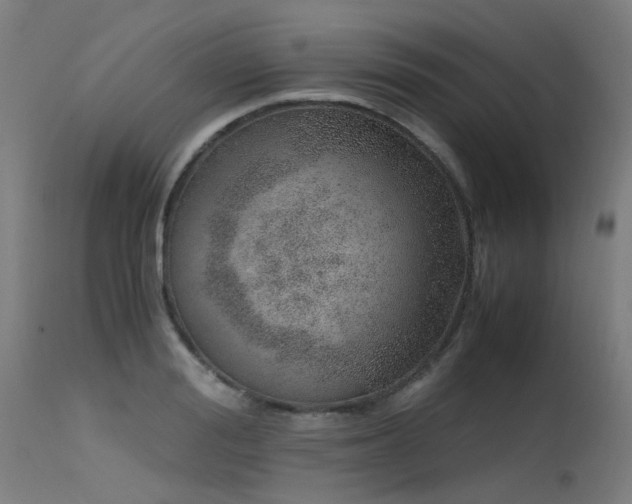 X0000115640988200911101512