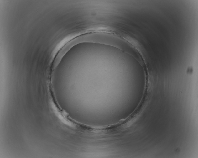 X0000115640989200911101512