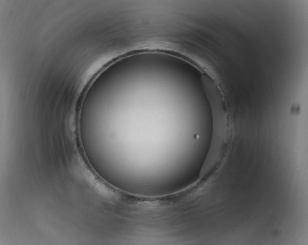 X0000115640990200911101512