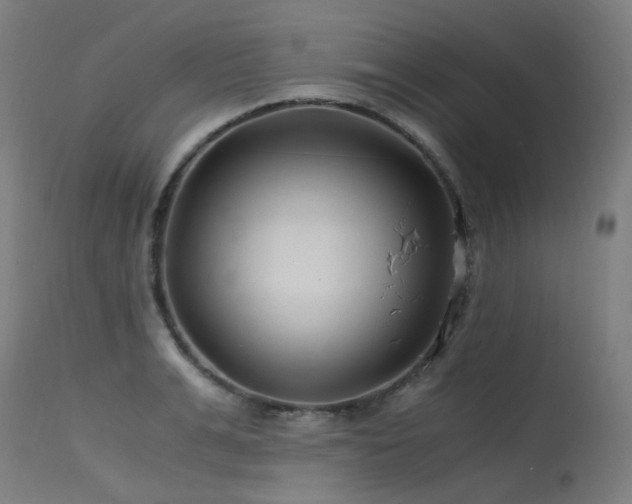 X0000115640991200911101512