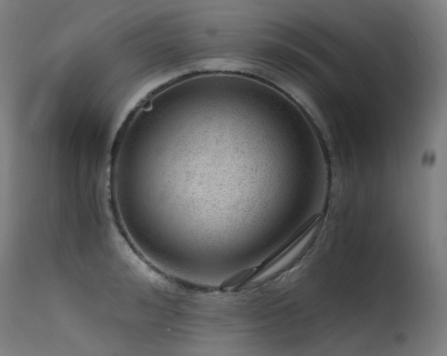 X0000115640992200911101512