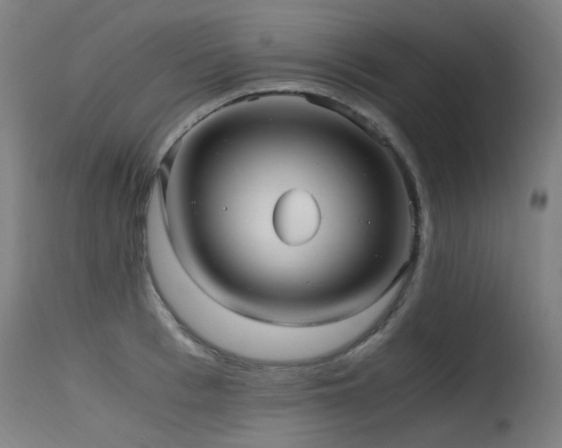 X0000115640993200911101512