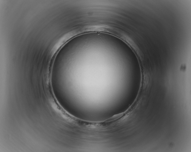 X0000115640994200911101512