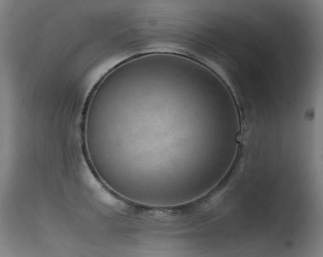 X0000115640995200911101512