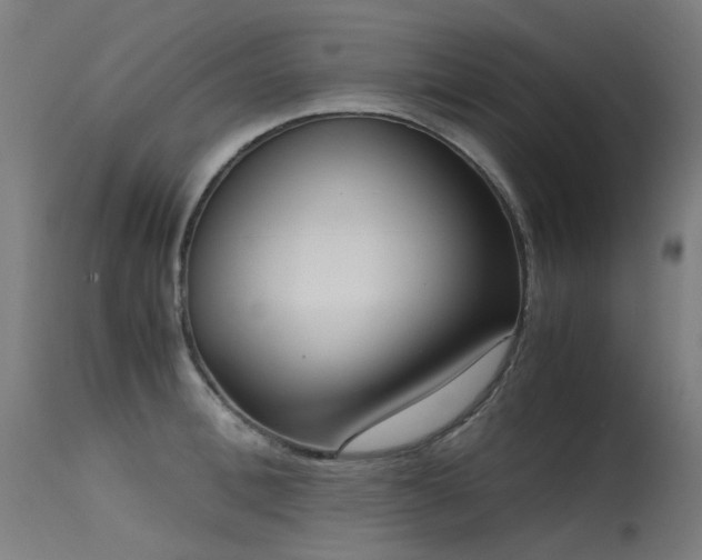 X0000115640996200911101512