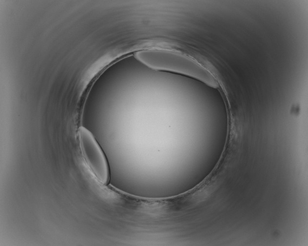 X0000115640997200911101512