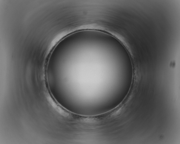 X0000115640998200911101512