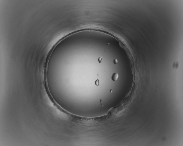 X0000115640999200911101512