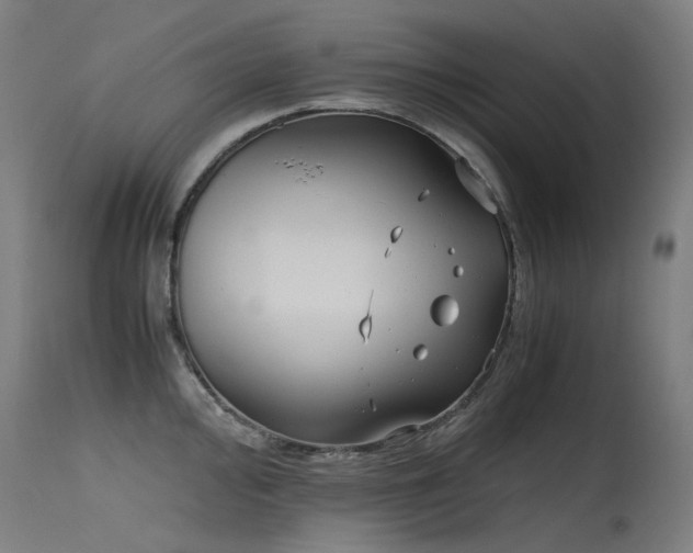 X0000115641000200911101512