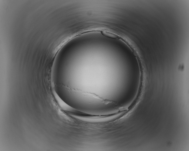 X0000115641001200911101512