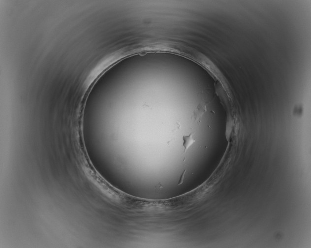 X0000115641002200911101512