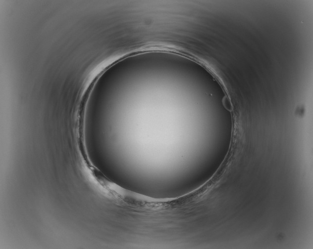 X0000115641003200911101512