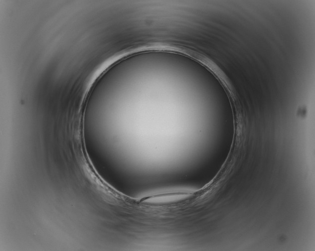 X0000115641004200911101512