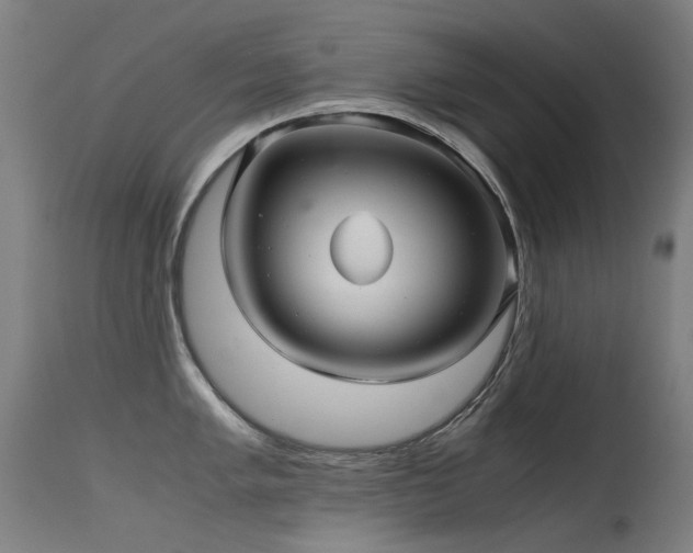 X0000115641005200911101512