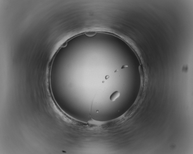 X0000115641006200911101512