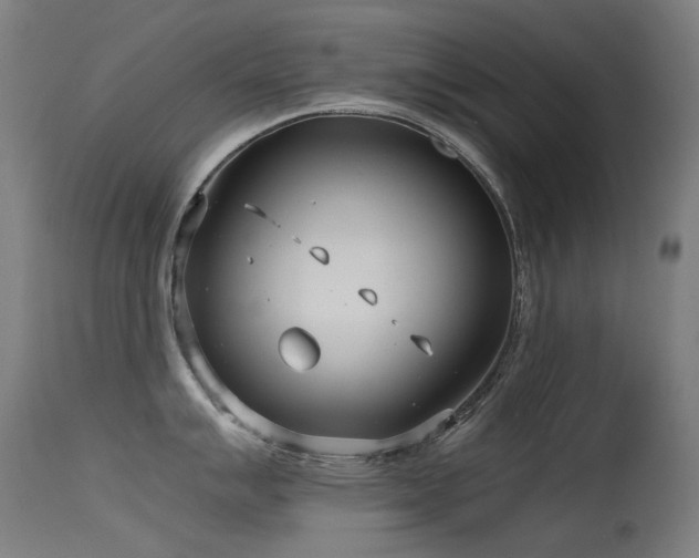 X0000115641007200911101512