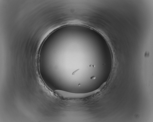 X0000115641008200911101512