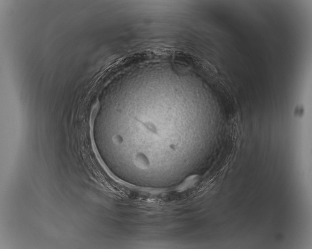 X0000115641009200911101511
