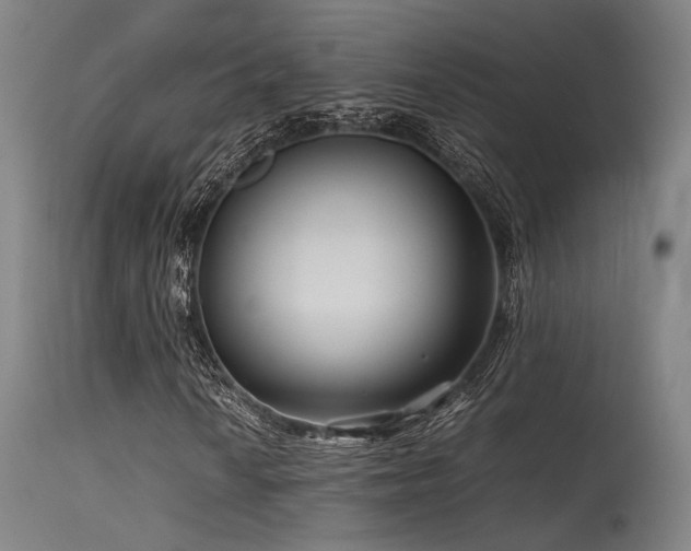 X0000115641010200911101511