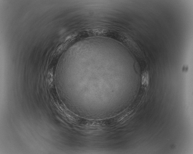 X0000115641011200911101511