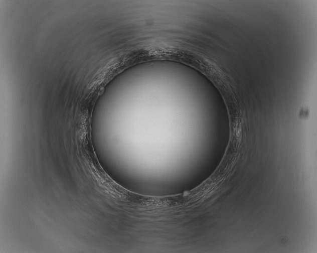 X0000115641012200911101511