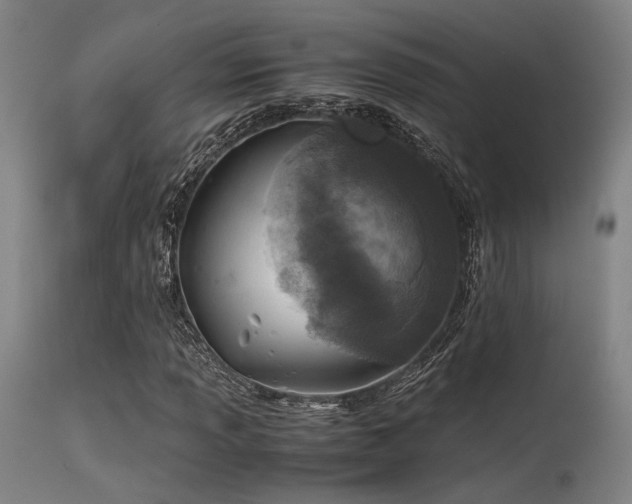 X0000115641013200911101511