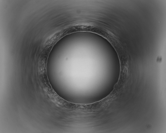 X0000115641014200911101511