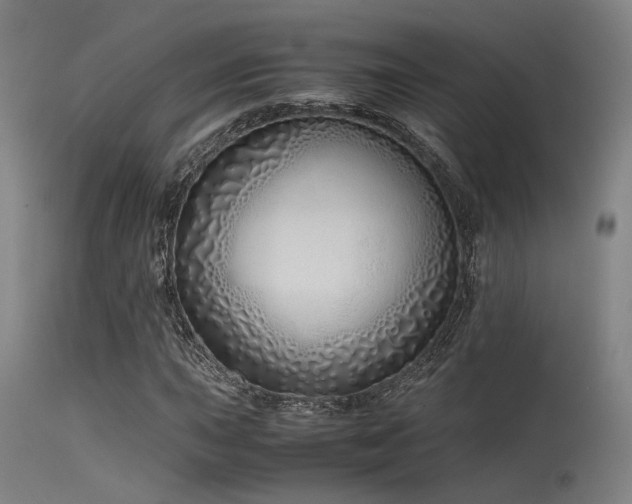 X0000115641015200911101511