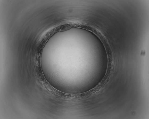 X0000115641016200911101511