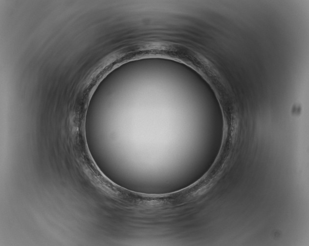 X0000115641017200911101511