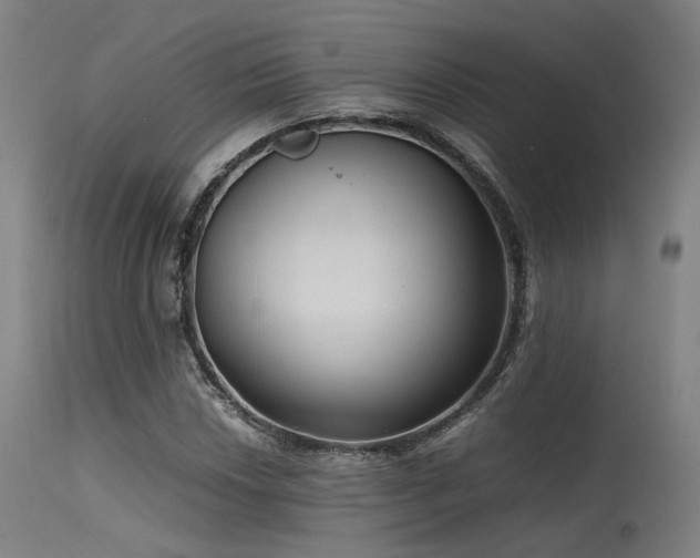 X0000115641018200911101512