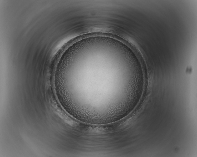 X0000115641019200911101512