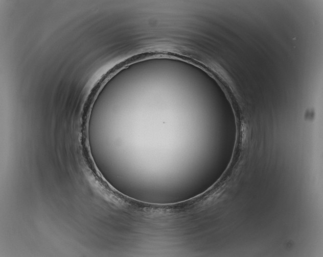 X0000115641020200911101512