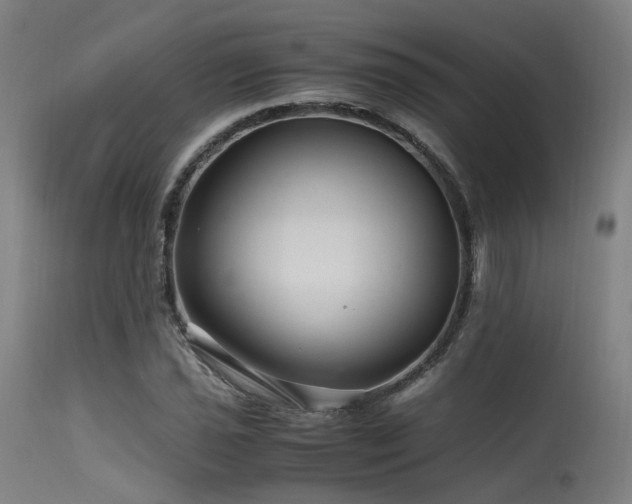 X0000115641021200911101512