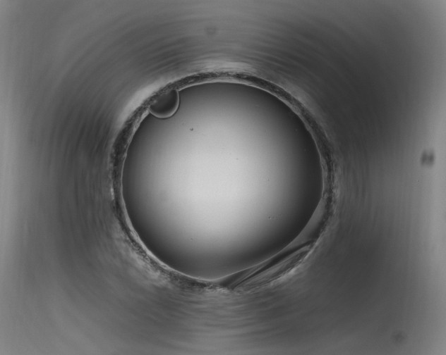 X0000115641022200911101512