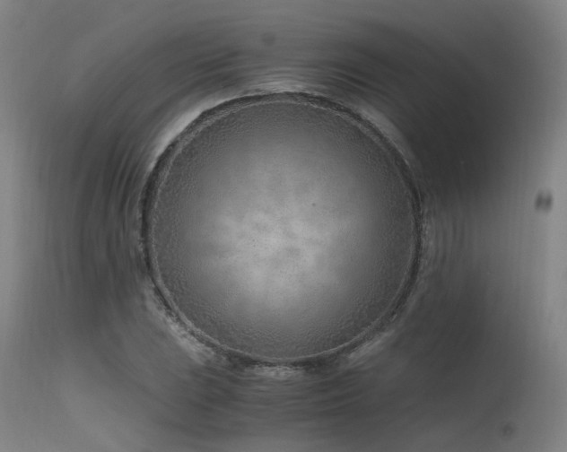X0000115641023200911101512
