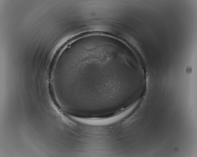 X0000115641024200911101512