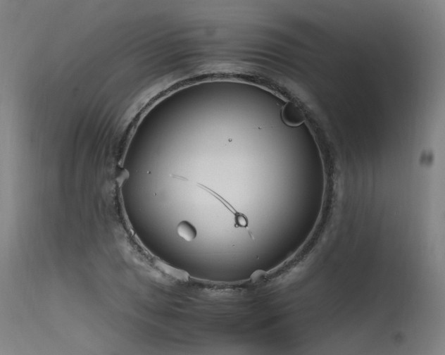 X0000115641025200911101512