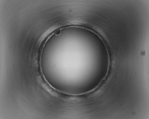 X0000115641026200911101512