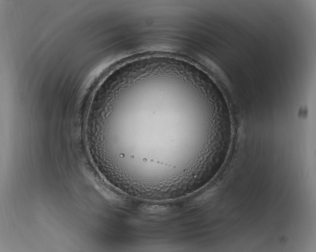 X0000115641027200911101512