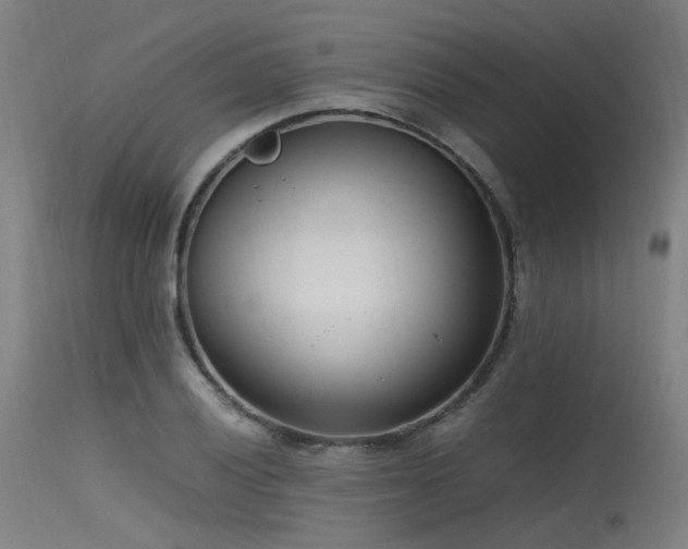 X0000115641028200911101512