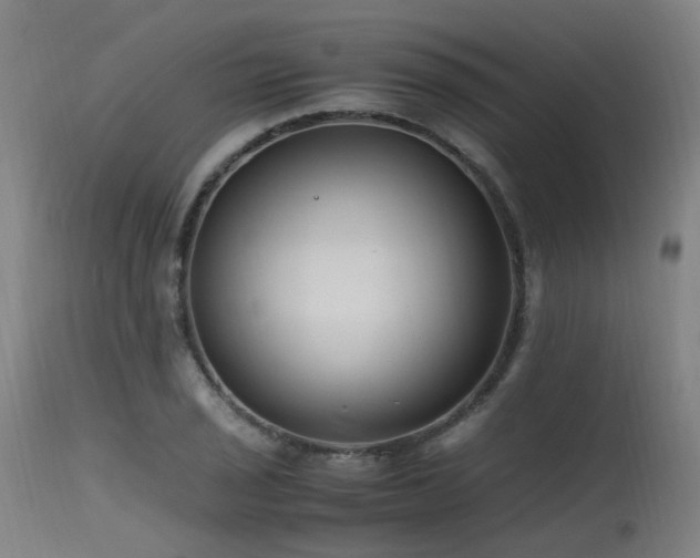 X0000115641029200911101512