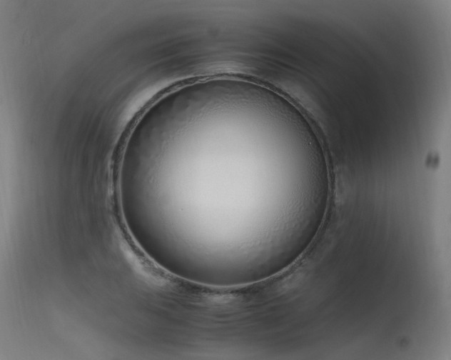 X0000115641031200911101512
