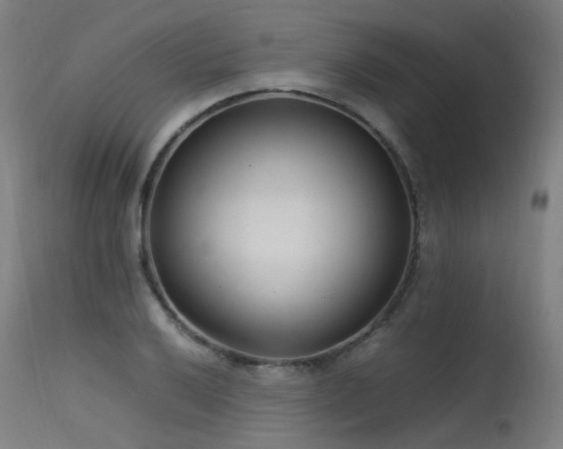 X0000115641032200911101512
