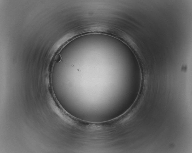 X0000115641034200911101512