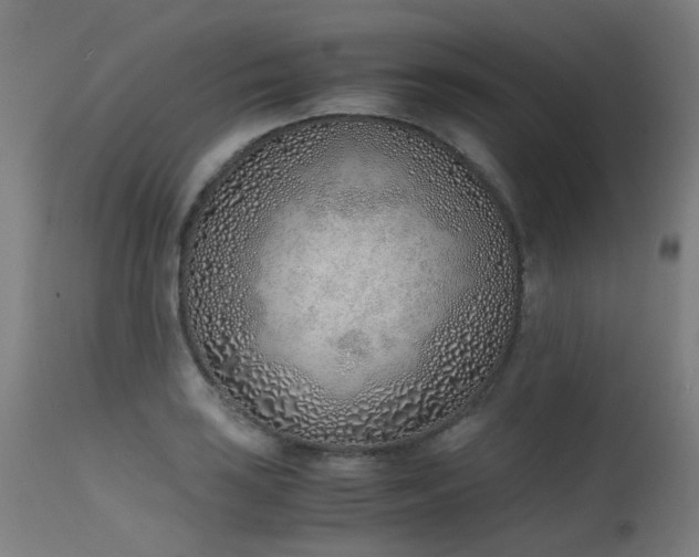 X0000115641035200911101512