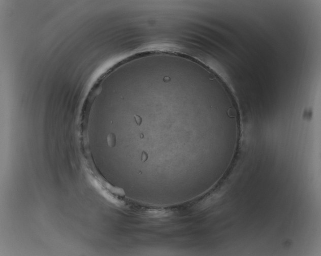 X0000115641037200911101512